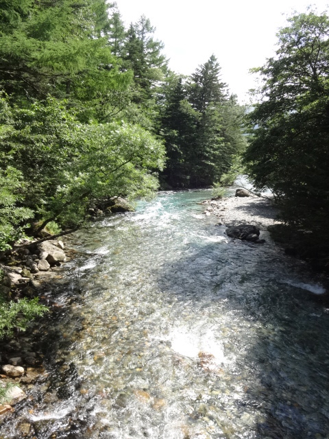 a0284783_62171.jpg