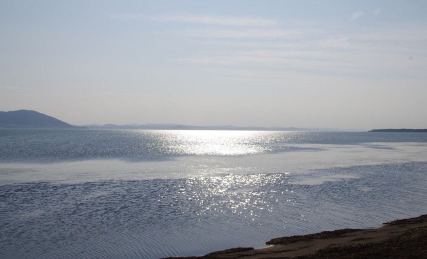 c0144185_17465344.jpg