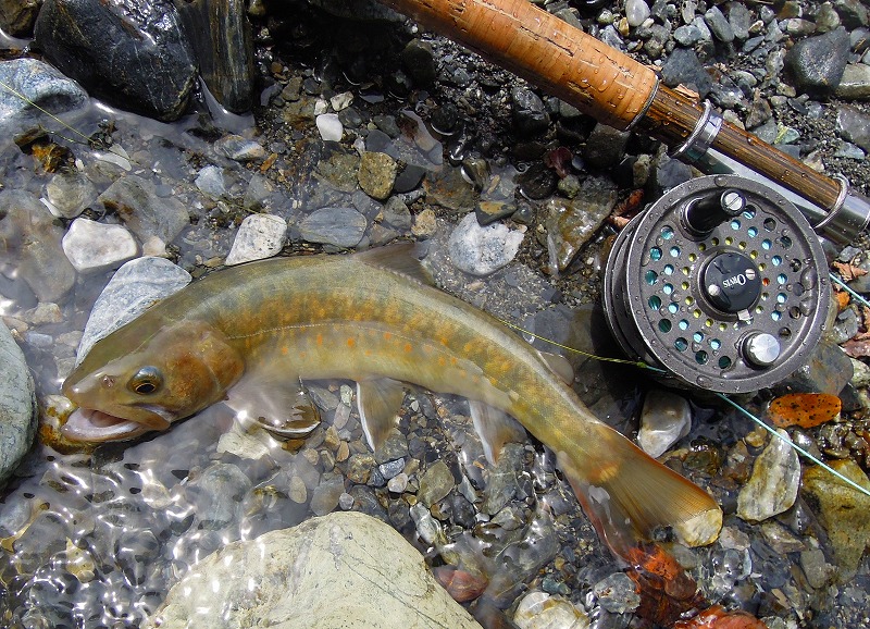 b0233990_20111823.jpg