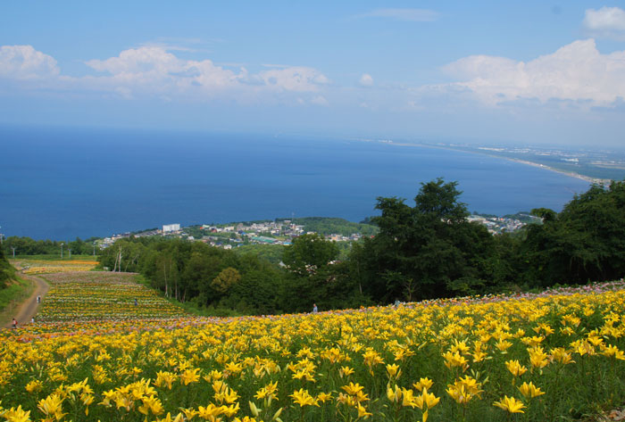 春香山・スキー所・・百合の園_d0162994_17185249.jpg