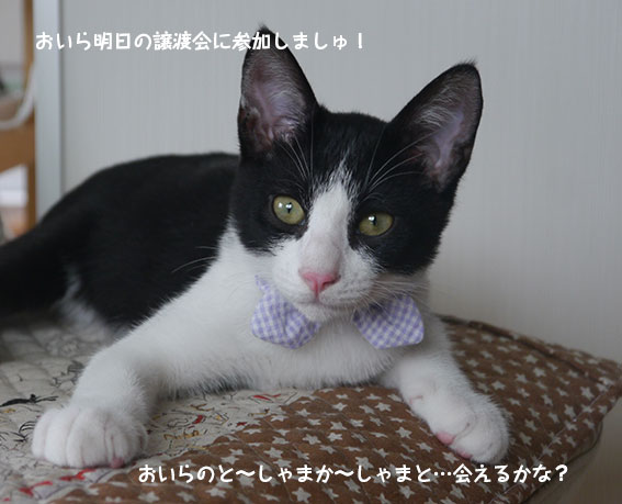 d0071596_2263155.jpg