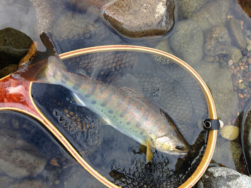f0266202_19131736.jpg