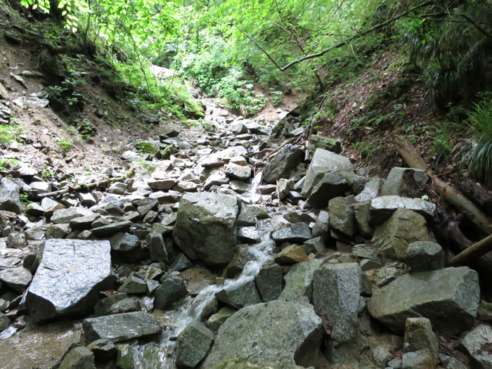 e0077010_21423134.jpg