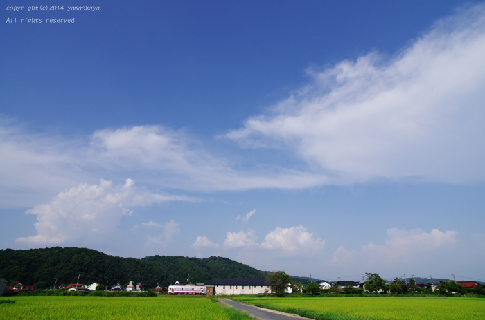 夕刻の空に_d0309612_23501555.jpg