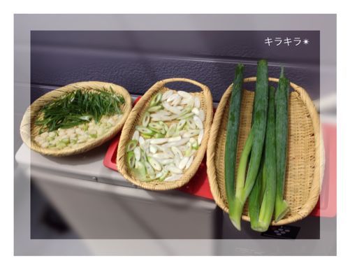 休日の家仕事_f0354014_20512072.jpg