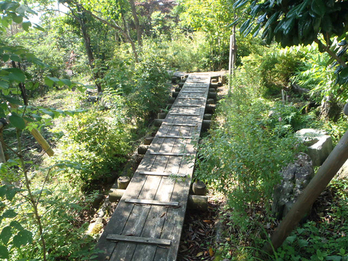 c0223419_1816339.jpg