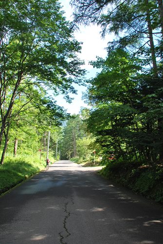 c0013922_16404219.jpg