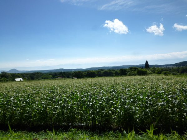 c0013922_16433626.jpg