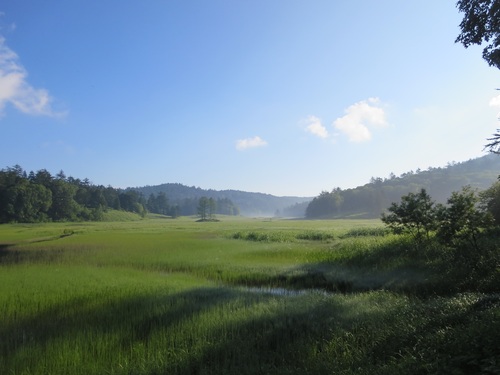 f0149422_8353518.jpg