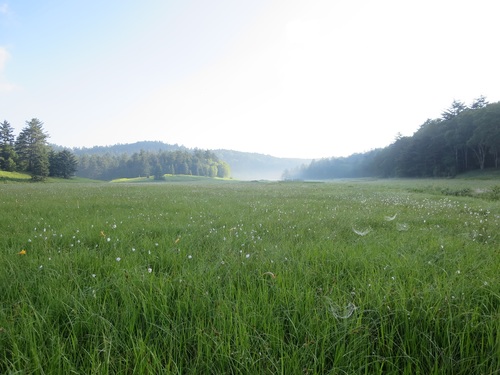 f0149422_8365945.jpg