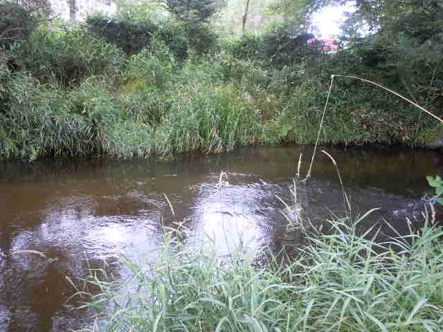 c0263829_11154084.jpg