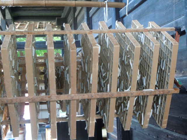 c0263829_1117999.jpg