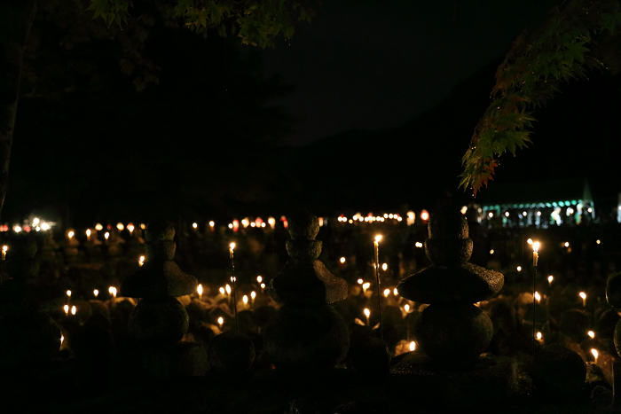 嵯峨野・晩夏 －化野念仏寺・千灯供養（後編）－_b0169330_15351525.jpg