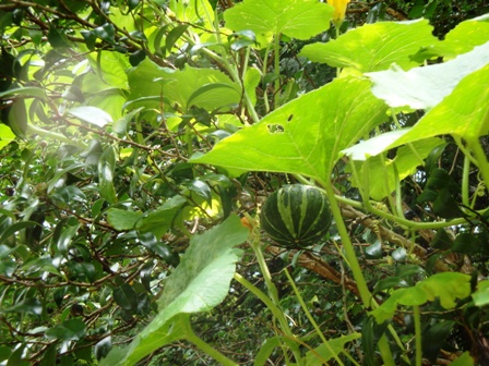b0207632_21421380.jpg
