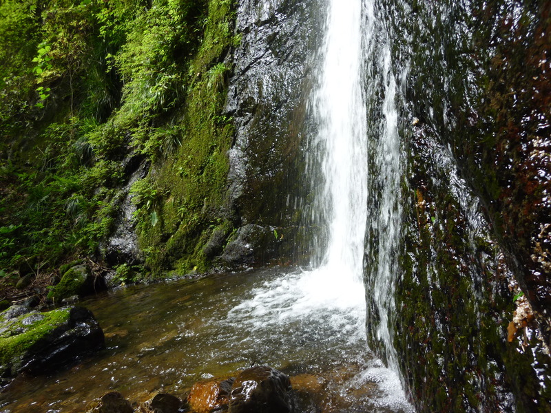 b0298935_10464870.jpg