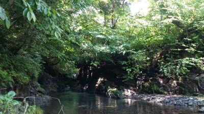 c0267235_13372742.jpg