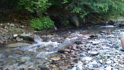 c0267235_13445667.jpg