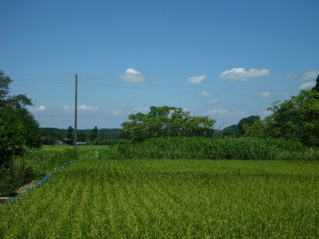 a0123836_1824762.jpg
