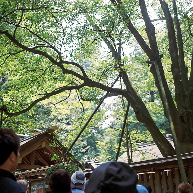 天岩戸神社〜天安河原　*4_e0262941_1612349.jpg