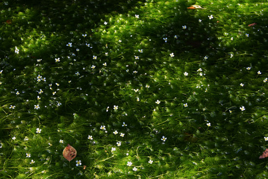 c0093046_6482670.jpg