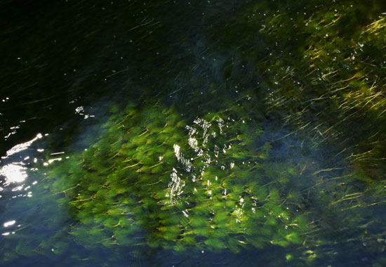 c0093046_6485847.jpg