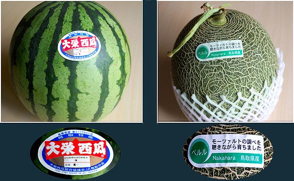 大栄西瓜とペルルメロン 聚 糧 大栄西瓜とペルルメロン 聚 糧