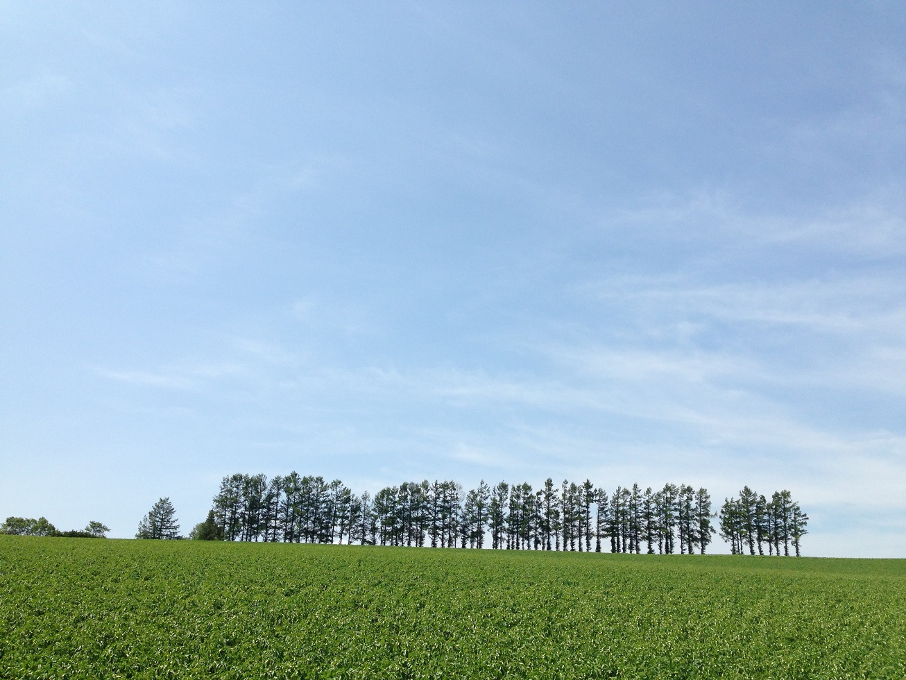 c0261447_0171221.jpg