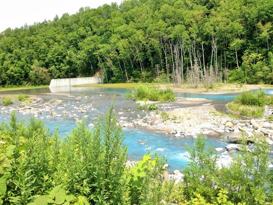c0261447_0412246.jpg