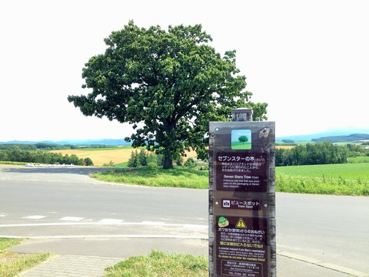 c0261447_04621.jpg