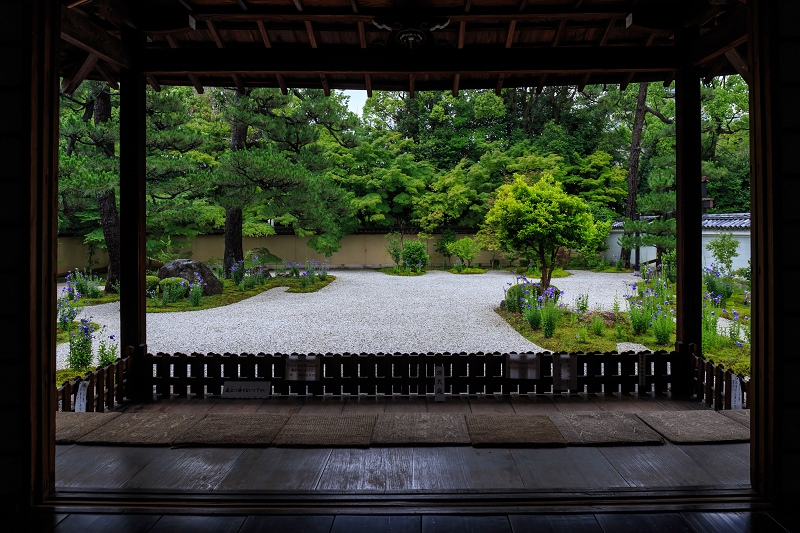 桔梗咲く庭（廬山寺）_f0155048_21234867.jpg