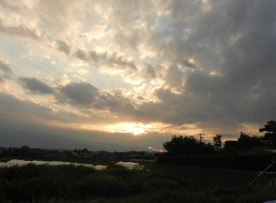e0172950_103228.jpg