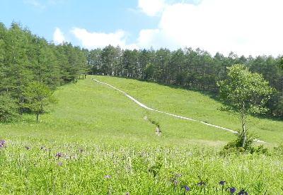 e0172950_17491839.jpg