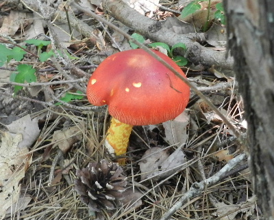 e0172950_19213112.jpg
