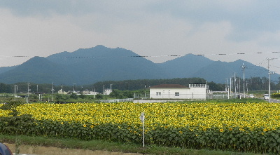 e0172950_1926363.jpg