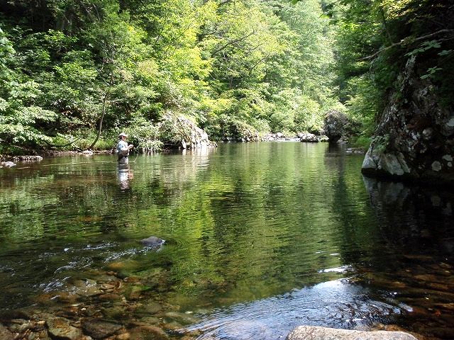 2014 岩魚の楽園　その２_c0097652_20481759.jpg