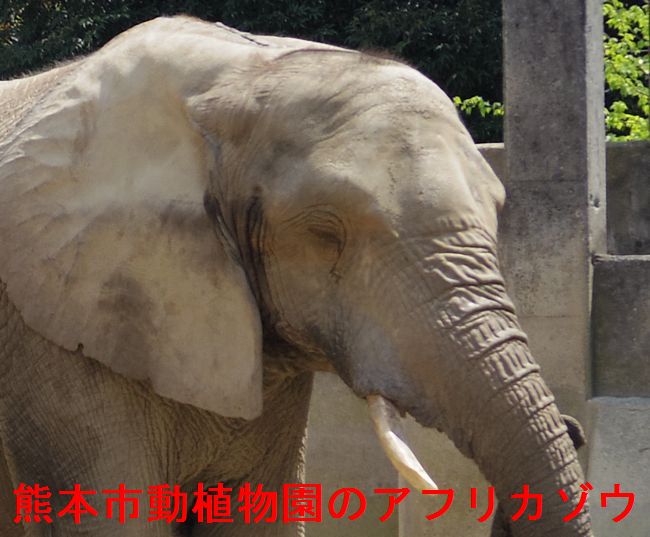 b0014576_07160617.jpg