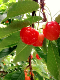 in　山形_e0148776_18294438.jpg