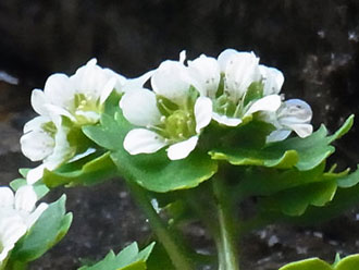 f0083977_6581660.jpg