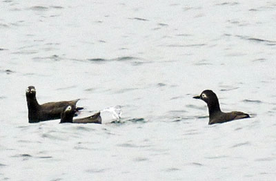 f0083977_712156.jpg