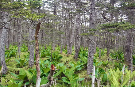 f0083977_7124071.jpg