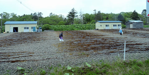 f0083977_7185520.jpg