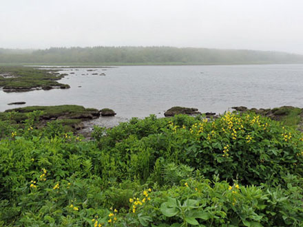 f0083977_9464516.jpg