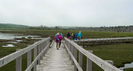 f0083977_9494742.jpg
