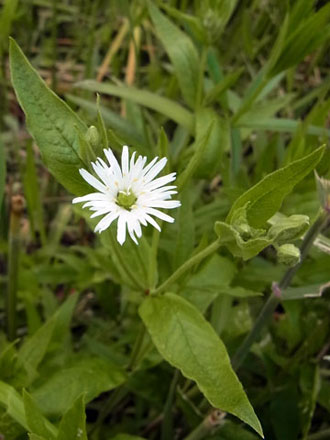 f0083977_959055.jpg