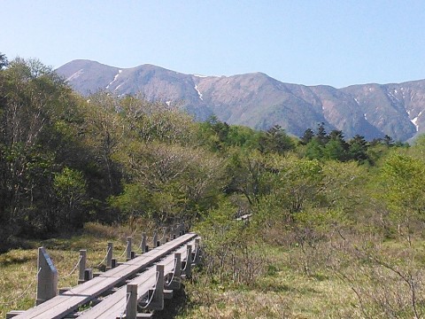 c0058978_22005114.jpg