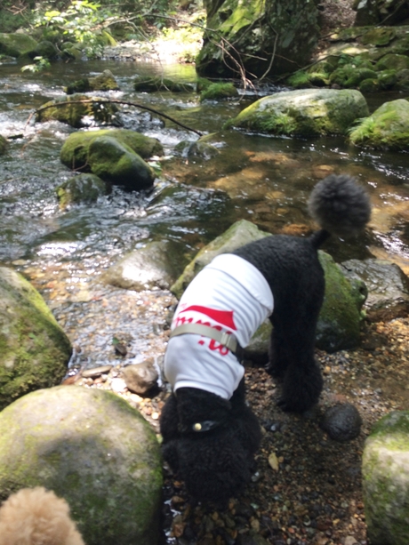 c0283778_18413289.jpg