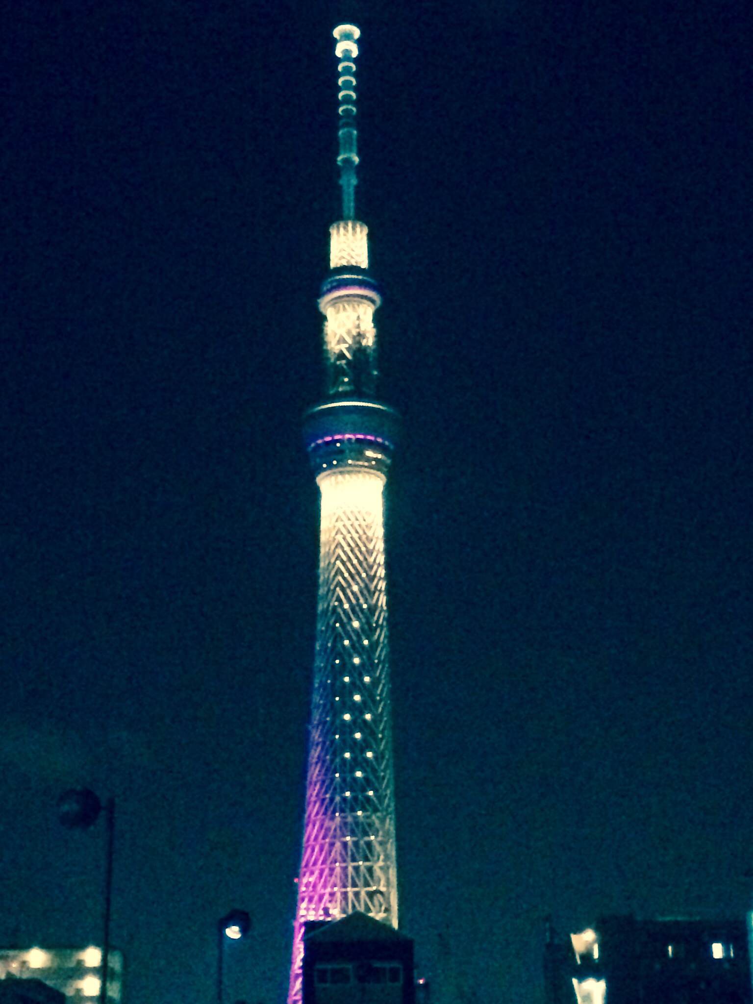 e0106479_1652060.jpg