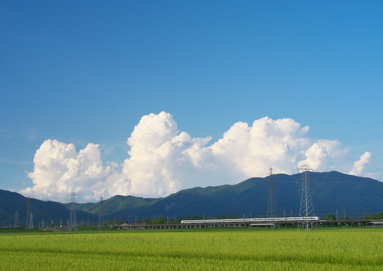 f0266284_16983.jpg