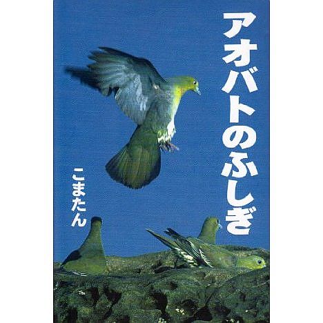 アオバトを見てきました_a0163788_09321782.jpg