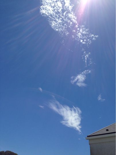 f0298891_1140879.jpg